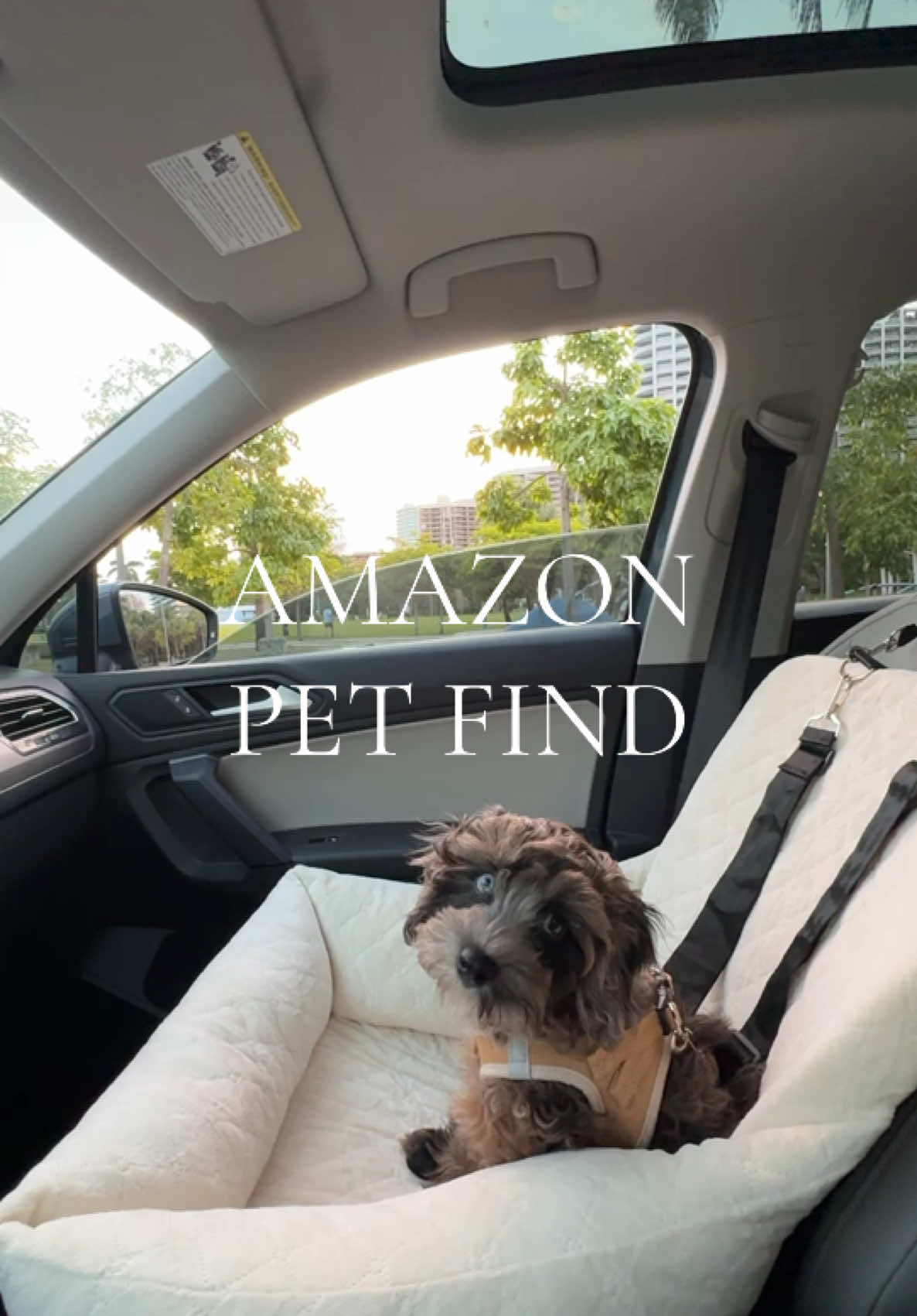 safety furst 🐾 linked on my storefront in “new puppy list” #dogslife #doglove #cozyvibes #puppylife #newpuppy