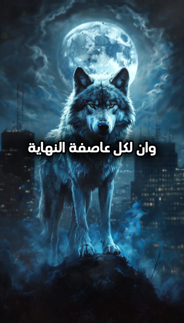 لا تتعلق بأحد كثيرا ، فمهما كانت علاقتك به قوية  !!  . . . . #حكمة_اليوم  #اقتباسات  #أقوال  #أقوال_وحكم  #حالات_واتس  #كلمات  #تيك_توك  #العراق  #السعودية  #مصر  #الجزائر  #المغرب  #للعقول_الراقية_فقط  #خواطر_ملهمة  #خواطر  #كلمات  #اكسبلور  #اكسبلورexplore  #للعقول_الراقية_فقط🤚🏻💙 