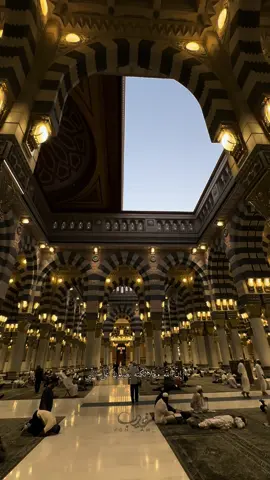 قناتي تليقرام بالبايو✨🤍#تصويري📸 #تصميمي🎬 #صلوا_على_رسول_الله #يوم_الجمعه #اللهم_صلي_على_نبينا_محمد #سورة_الكهف #عليه_افضل_الصلاه_والسلام 