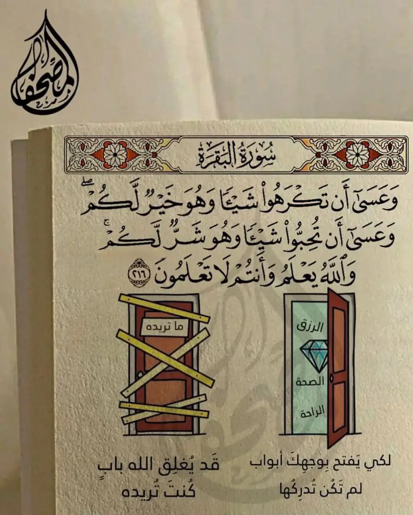 #سورة_البقرة  #صلوا_على_رسول_الله  #❤️ 