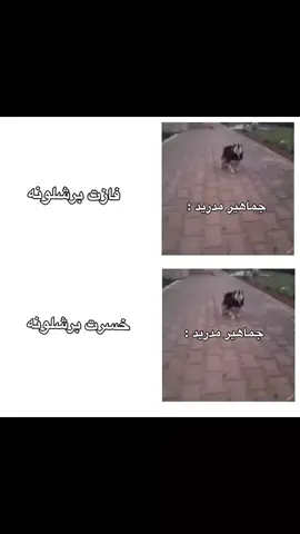 قناتي التلي في البايو 😂🤣. . . . . #Love #foryou #tiktok #vairal #youtube #fyp #capcut #viraltiktok #tiktokindia #keşfet 