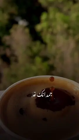 ـ٨ـہـ٨ـہہـ❥ــــ♫ـــــــ٨ـہـــــ♫ـــــ.❤. ♫.. #CapCut #explore #ترند #trending #ترند #قهوتي_مزاجي #your_coffee #هو_في_كده #رامي_جمال 