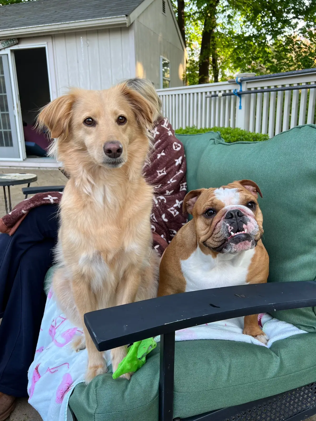 This is my proudest TikTok