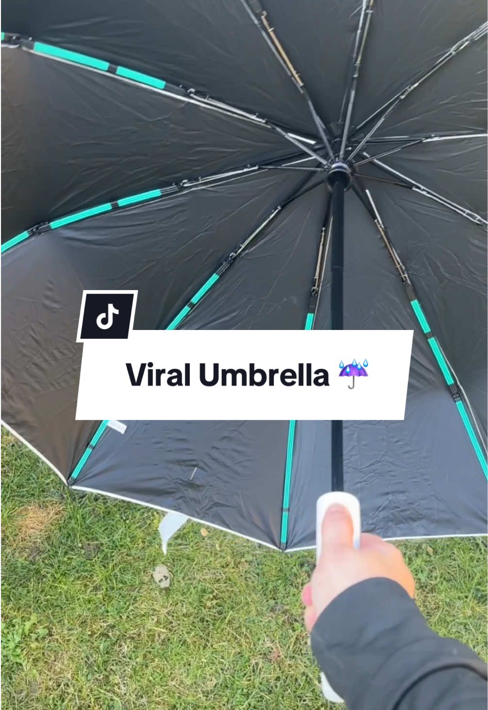 Such a cool umberella! ☔️ #umbrella #dogwalking #winteressentials #tiktokmademebuyit #fyp #giftideas 