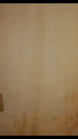 Mala Sombra 😥💔 Allen Nuñez Banda Loves Cumbia Sanjuanera Letras De Canciones musica Para Dedicar Comparte Vídeo Viral