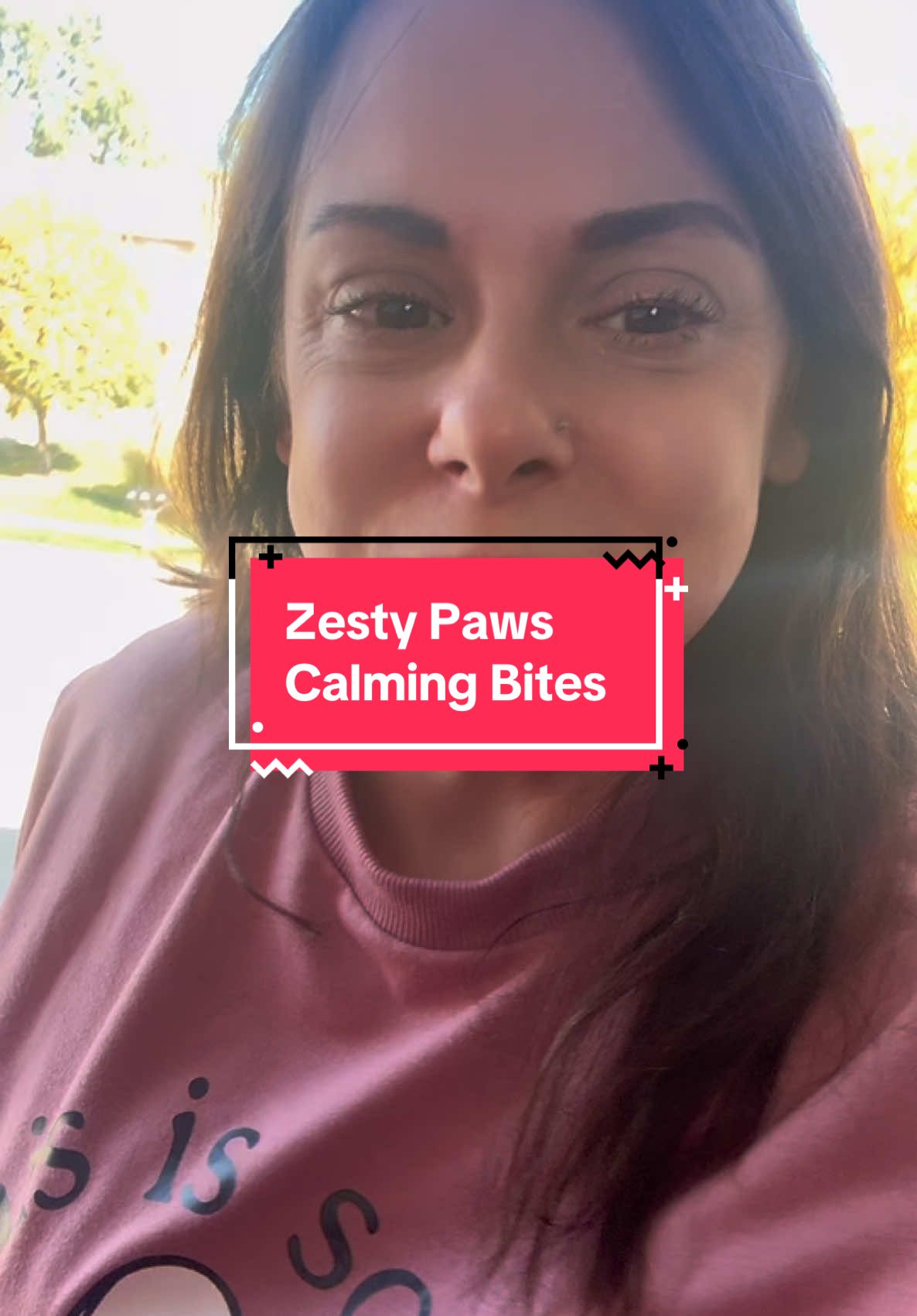 @Zesty Paws Calming Bites gets us through mail drop off without pure mayhem! Fritz is calm and snoozing! #calming #calm #calmdown #dog #dogs #dogsoftiktok #ratterrier #calmdog 