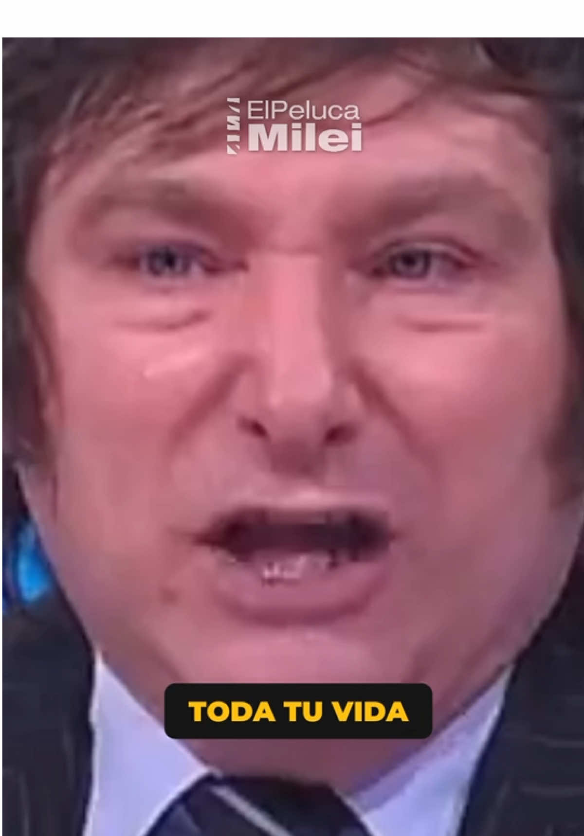 MILEI EXPLOTÓ CONTRA EL PARÁSITO DE MÁXIMO KIRCHNER #milei #javiermilei #argentina #argentina🇦🇷 