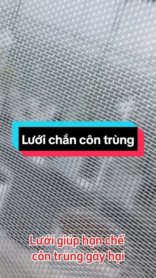 Lưới chắn côn trùng, bảo vệ vườn rau hiệu quả😍 #lưới_chắn_côn_trùng  #vuonsaigonvn 