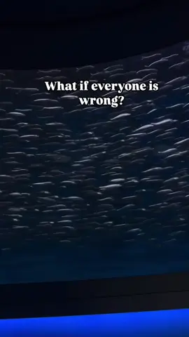While traveling in Monterey, I saw this brave little fish swimming against the current, while all the others went the same way. It shocked me how fearless it was. It made me think… what if they’re all wrong? Sometimes, we just know what we need to do. Trust yourself.#viral #tiktok 