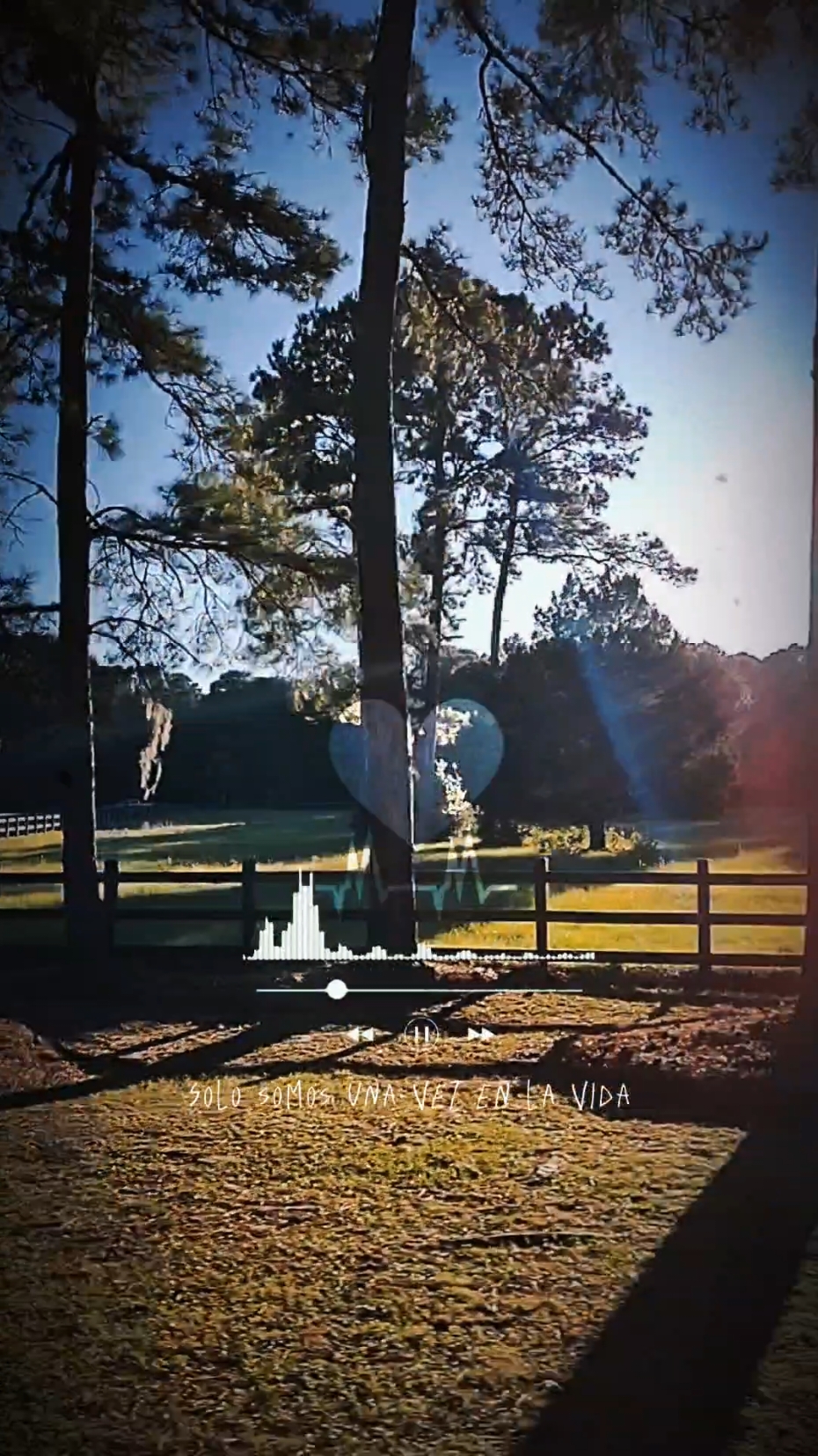 #CapCut #lavidanomiente #grupoquintanna #quintana #electrocumbia #cumbiasonidera #sonideros #fyp #fy #parati #foryou #foryoupage #viral #trend #trending #tendencia #bestsong #usa #mexico #guatemala #honduras #nicaragua #elsalvador #colombia #latam #paramisseguidores #seguidores #fanpage #videoviral #videorolas #rolitas #grupero #regionalmexicano #paisajes #naturaleza #lugares #exitos #wow #🇲🇽 #🎶 #😊 #esteeselestiloyelsabor #2024 #october 