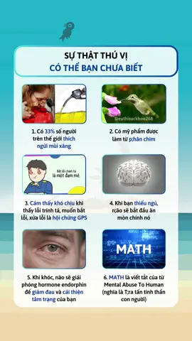 Sự thật thú vị phần 22 #sieuthisuckhoe268 #suthatthuvi #goclamdep #khoedepmoingay 