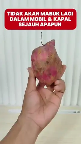 Obat anti mabuk alami #antimabuk 