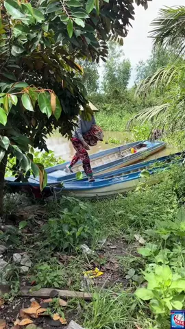 Bấm vào link bên dưới video để mua #bột vệ sinh máy giặt #vệ sinh máy giặt