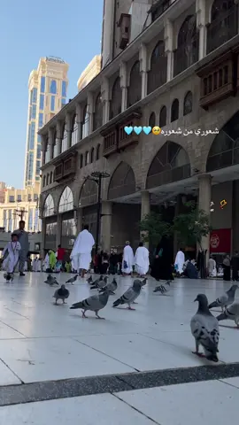 #مكه_المكرمه #الحرم_المكي #حمام_الحرم #يوم_الجمعه 