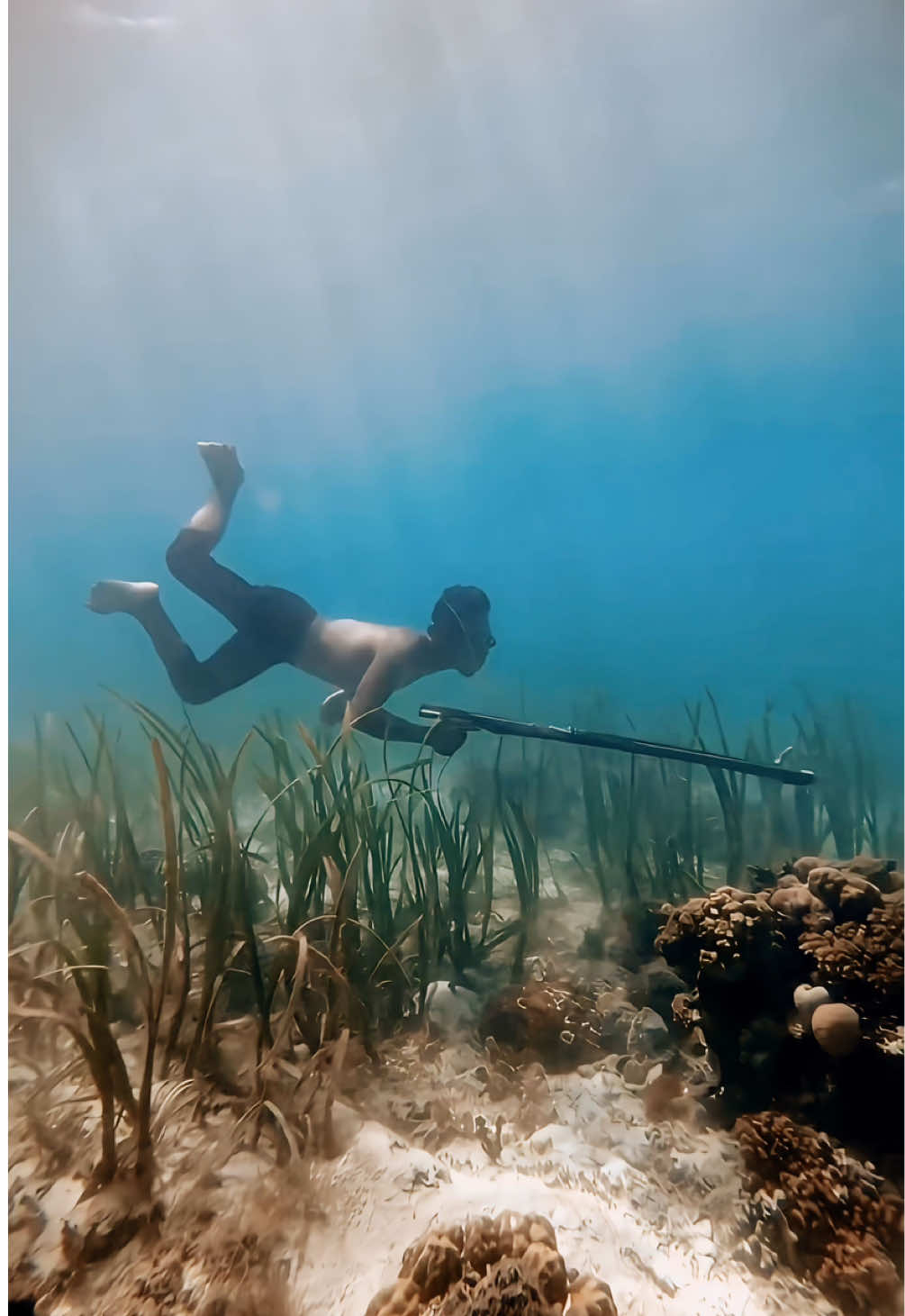 Entre todas las técnicas de pesca que llevan a cabo los Bajau Laut en su día a día la más llamativa es la pesca con arpón a pulmón.  Ellos seleccionan la zona del arrecife desde el bote y luego se lanzan al agua con sus gafas de madera en busca del pescado que comerán durante el día. Todo dependerá de las habilidades de pesca y la capacidad para mantenerse bajo el agua el tiempo necesario para alcanzar a los peces con el arpón. Esta maravillosa escena fue la que tuvimos la suerte de observar e inmortalizar durante nuestros días en las islas Banggai. Realmente se trata de una de las experiencias más auténticas que hemos vivido. 📍Banggai, Indonesia #indonesia #sulawesi #banggai #banggaindonesia #exploreindonesia #welcomeindonesia #wonderfulindonesia #bajaulaut #banggaikepulauan #exploremore #natgeo