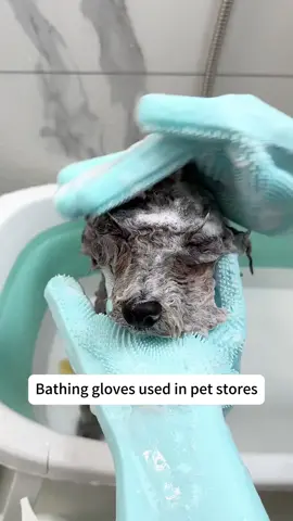 Bathing gloves used in pet stores.It can easily foam with a rub of both hands.Silicone particles can take away floating hair while massaging.The enjoyment of dog washing can also prevent scratches and bites.It can be rubbed clean where it cannot be washed by hand.heat and water insulation.It can also be used to wash dishes at home#animallover #animalsoftiktok #aspin #Bathing gloves
