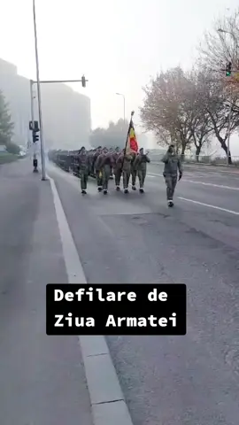 Ziua Armatei a fost sărbătorită vineri dimineață la Sfântu Gheorghe. 🪖🇷🇴 #covasna #armata #ziuaarmatei 