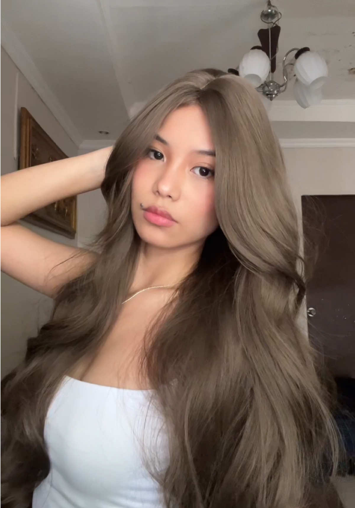 judy wig supremacy😩🫶🏻 btw, i am wearing the color brown #wig 