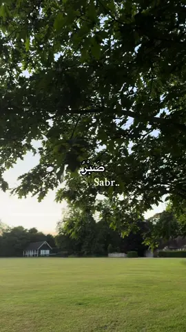 Everything will be okay Insha Allah 💯 #alhamdulillah #grateful #islamic 