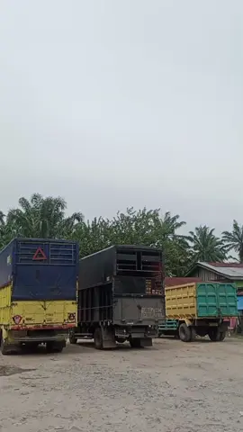 ponorogo-medan #trucklintassumatra #truckindonesia #manggabalap #elfmacanindonesia 