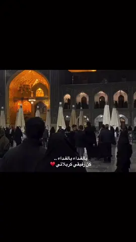 كُن رفيقي كربلائي ♥️ #منشن 