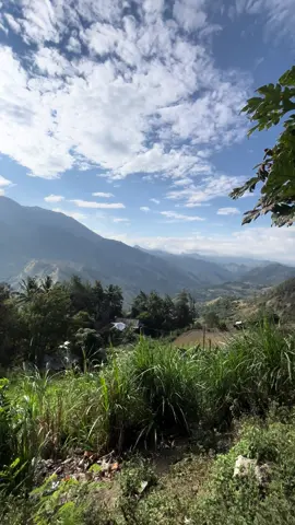 Akan ku buktikan omongan kosong orang orang itu ya mak pak bahawa kita bisa sukses di hoby ini💪💪#berkahorangtua #berkahibu #bengkel_gp #gp197bengkel #berkahselaluorangorangbaik😇 