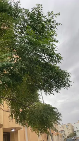 #اجواء #خميس مشيط #اكسبلور 