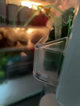 Tửu lượng nằm trong tủ lạnh.😜#biavềchưabiavềchưa🍺 