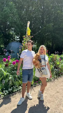 @aaron.and.cow ✨✨✨