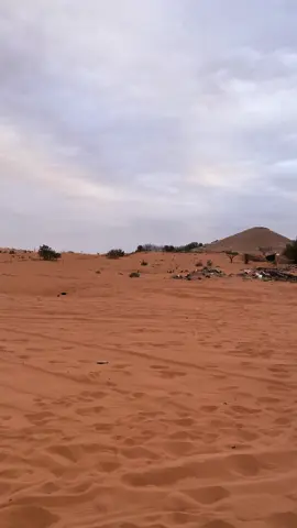 #الزويليات #كشته #البر #🌷 #explore #