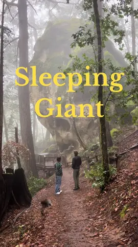 tag someone who is a person! one year ago and it is still nice to be a person. #hopecore #redwoods #friendship #wholesome #positivity 