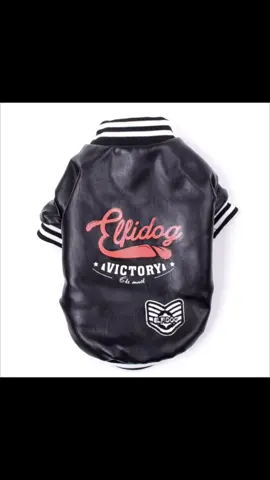 Varsity Dog Jacket!! #dog #dogclothes #petclothes #dogfashion #charliespetemporium #smallbusinessowner #smallbusinesstiktok #pet 