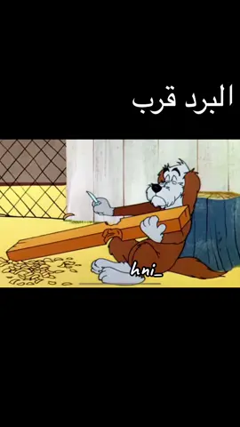 #البرد_قرب #hni_ 