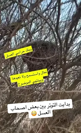 #إدارةالملفات منو الي اخذ العسل 🤔🤔