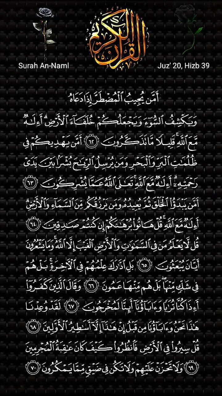 آيات القرانية تريح القلب| القارئ الشيخ محمد الفقيه 🌹  #قران #ايات_قرانيه_تريح_القلب #quran #quran_alkarim #القران_الكريم_راحه_نفسية😍🕋 #قران_كريم_ارح_سمعك_وقلبك♡ #راحة_نفسية #مقاطع_قرآنية #قران_كريم_بصوت_جميل #محمد_الفقيه #تلاوة_خاشعة #ارح_سمعك_بالقران #quranrecitation #القران_الكريم 