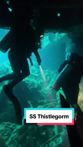 SS Thistlegorm diving exploration 🤿🐠 would you dare? 👀😱 #egypt#diving#scubadiving#exploration#dark#sea#sharmelsheikh#scary 