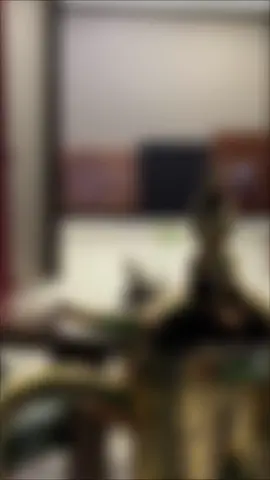 قهوة المساء أنيقة بكل تفاصيلها  ‏رائحتها..مذاقها..لونها وحضورها 🤍☕