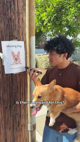 She can go lose her dog somewhere else then🙅‍♂️😂 @Corgiboba @Colie💕 @hollyland.na 