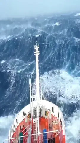 Compilation of ships in a storm 🤯 #ship #storm #bigwaves #bigships #vessel #roughsea 