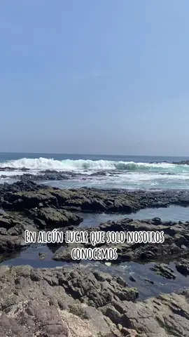 En la vida se gana o se pierde.  Nunca pierdes solo aprendes hacerlo mejor 🥹🫶🏻🙌🏻  #mar #fypシ゚ #alegria #paratiiiiiiiiiiiiiiiiiiiiiiiiiiiiiii  #fypppppppppppppppppppppp #iquiquechile 