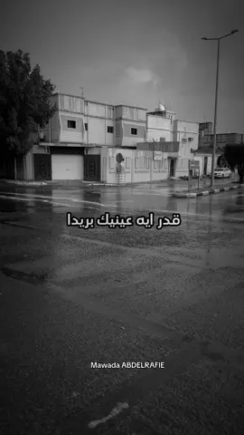 لو بتعرف ياحبيبي قدر ايه عينيك بريدا❤️في ناس لسه بتسمع الاغاني دي #سودانيز_تيك_توك_مشاهير_السودان #القوات_المسلحة_السودانية🦅🇸🇩🦅 #سودانيز_تيك_توك🇸🇩 #تصميم_فيديوهات🎶🎤🎬 #طرب_سوداني #اغاني_سودانية #الدعم_السريع_جنجويد_رباطة #explore #sudanese_tiktok #sudan #sudanese 