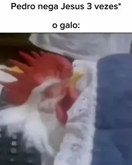 chegou meu momento #southamericamemes