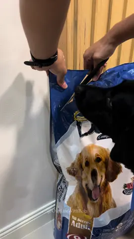 Special Dog Adult Dry Dog Food for our special dog, Bob. 🐾🤤 #dogfood #specialdog #dogtreat #dogsph #labrador 