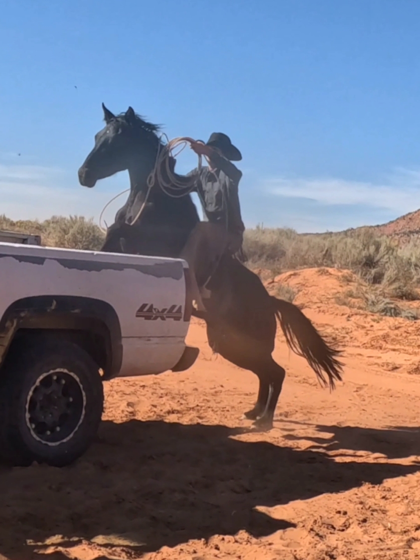 No trailer, No problem In all reality, don't try this with just any horse. #horsesoftiktok #mustanghorse #mustang #horse #cowboy #fyp (Performed by Professionals) (do not attempt)