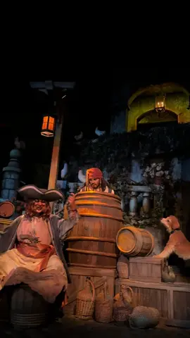 #カリブの海賊 #東京ディズニーランド #piratesofthecaribbean #tokyodisneyland 