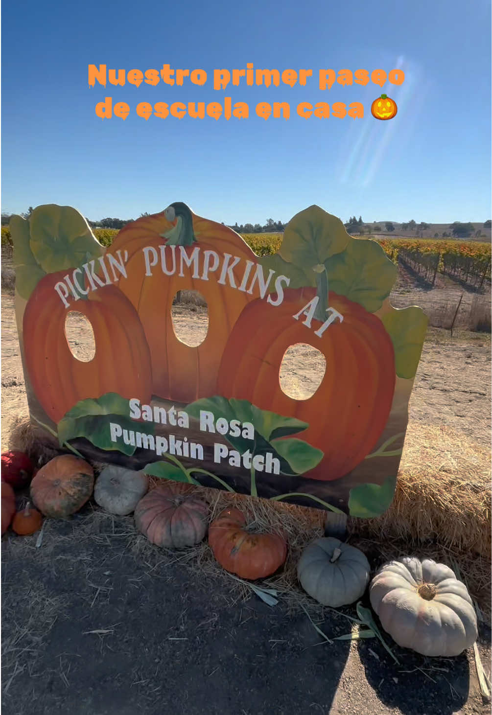 Our first homeschool field trip was a success. The Pumpkin patch was a lot of fun 🎃 Nuestro primer paseo de escuela en casa fue todo un exito. 🎃 #fieldtrip #pumpkinpatch #paseo #homeschool #homeschooling #escuelaencasa #santarosa #california #bayarea #areadelabahia #ozuna #artistatiktok #tengounplan 