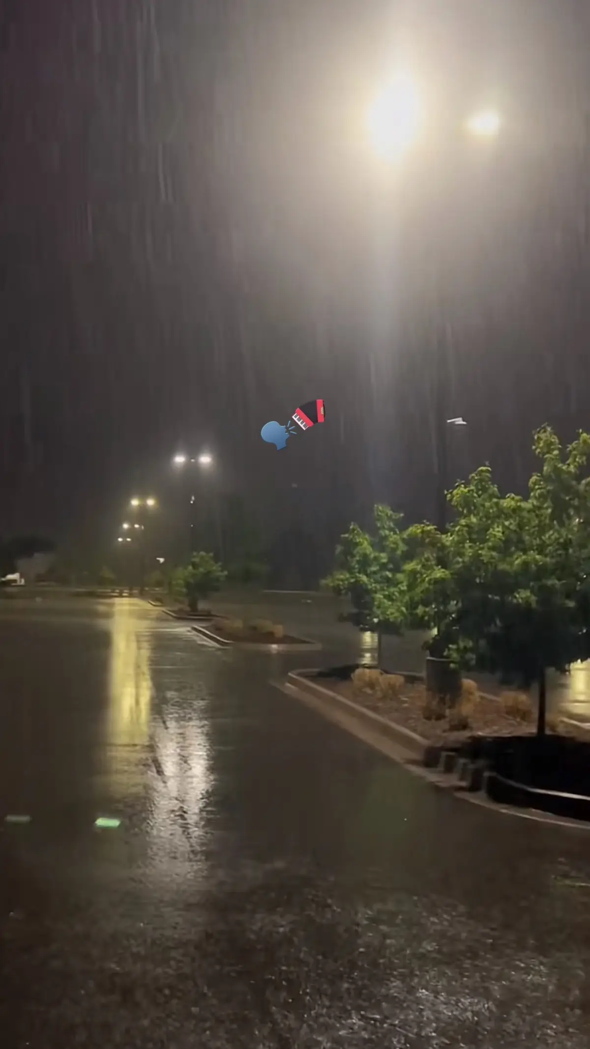 Aún te amo 🗣🪗❤️‍🩹#dedicar #losinquietosdelvallenato #nelsonvelasquezvallenato #nelsonvelasquez #sentirvallenato #paratiiiiiiiiiiiiiiiiiiiiiiiiiiiiiii #vacile 