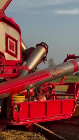 #วัยรุ่นขับศักดิ์พัฒนา🌾🇹🇭💨 #ทีมงานรอลุงด้วย #ศักพัฒนาการเกษตร #พิษณุโลก 