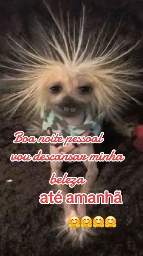 #boanoite #humor 