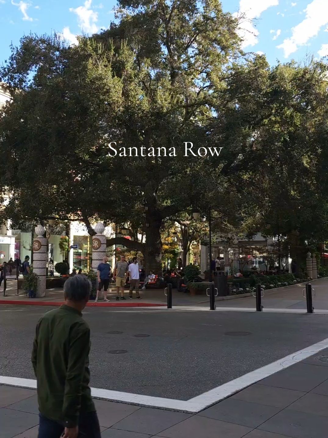 dropped off a puppy today in San Jose & visited Santana Row for a lunch time stroll ✨️  - #santanarow #sanjose #date  #sanjosecalifornia #minidate #husbandandwife #couple #lunchdate #christiancouple #couplegoals #explorecalifornia #exploresanjose #lunch #OOTD #aesthetic #aestheticvideos #dayvlog #aestheticvibes #aestheticedits #momanddad 